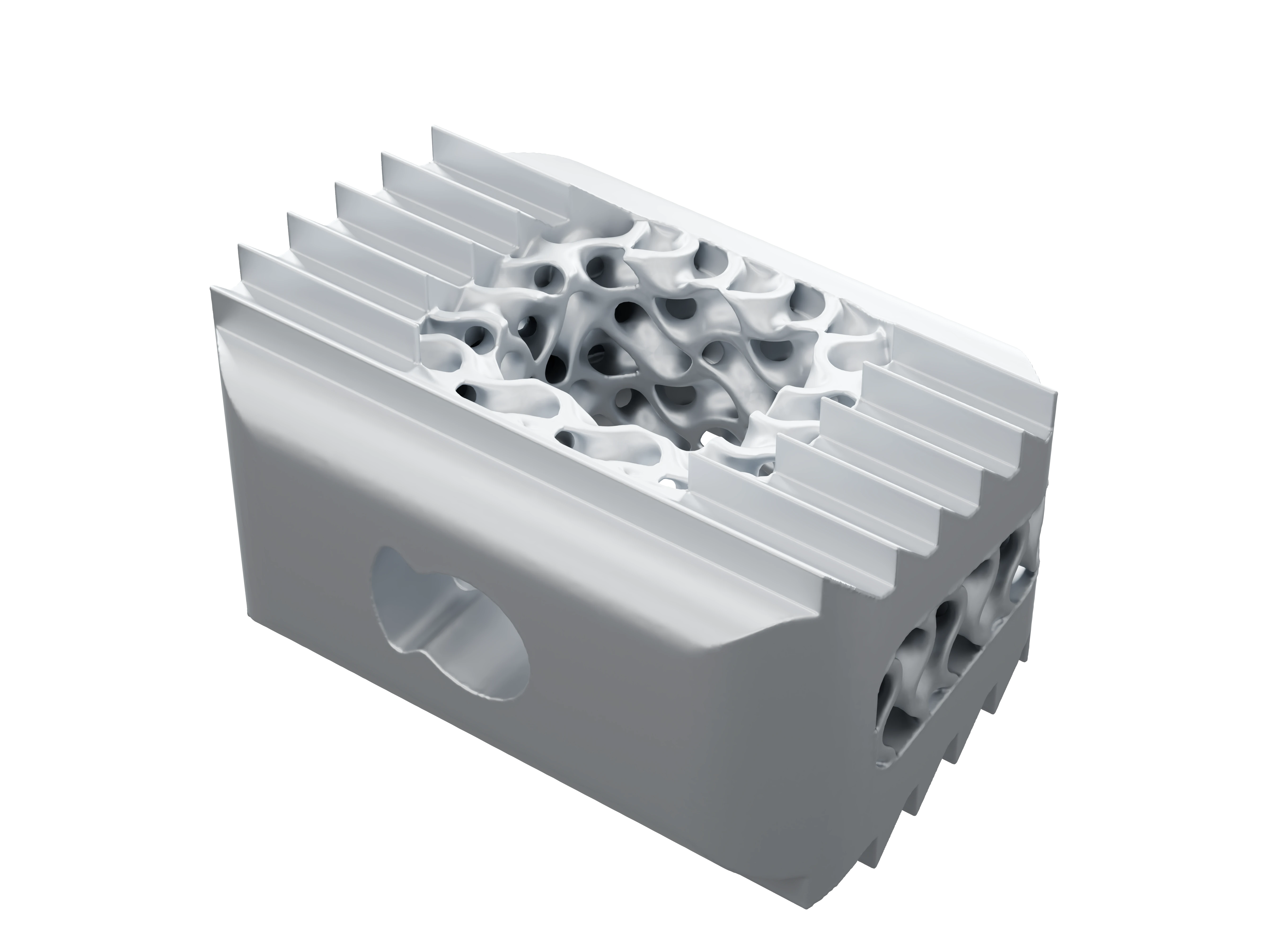 ViCage interbody fusion cage in raw titanium